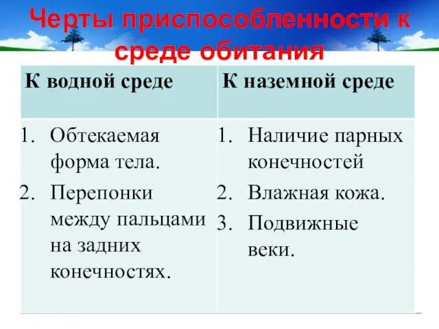 Черты приспособленности к среде обитания