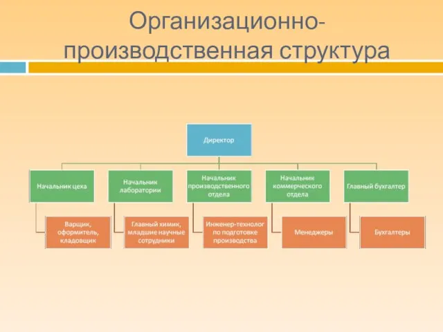 Организационно-производственная структура