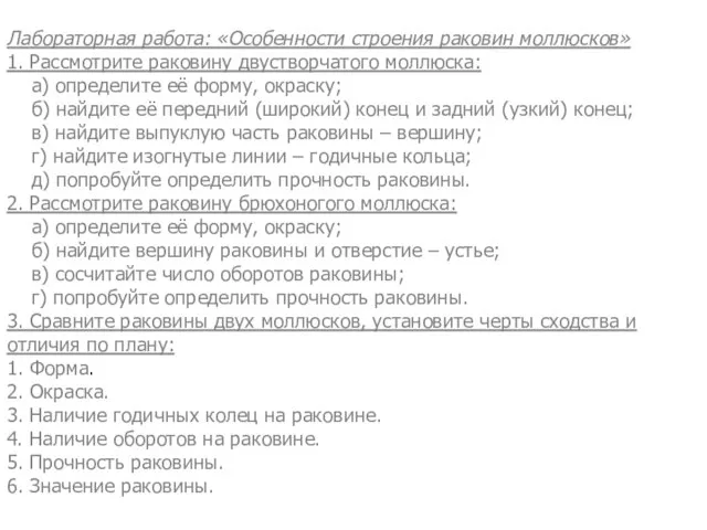 Лабораторная работа: «Особенности строения раковин моллюсков» 1. Рассмотрите раковину двустворчатого моллюска: