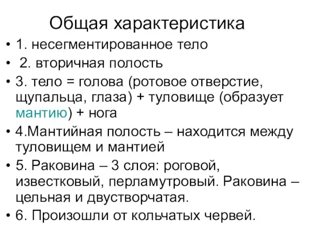 Общая характеристика 1. несегментированное тело 2. вторичная полость 3. тело =