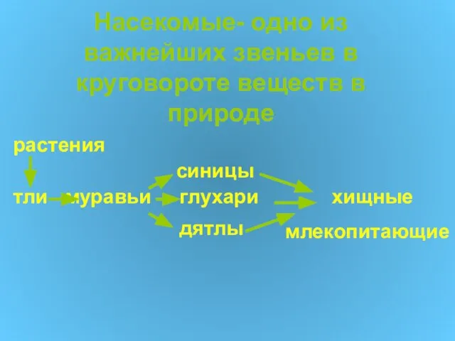 Насекомые- одно из важнейших звеньев в круговороте веществ в природе растения