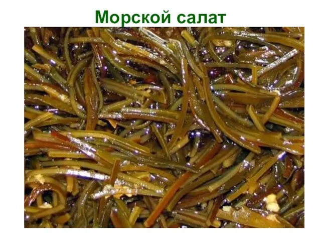 Морской салат