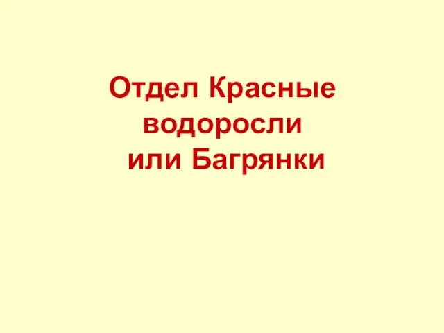 Отдел Красные водоросли или Багрянки