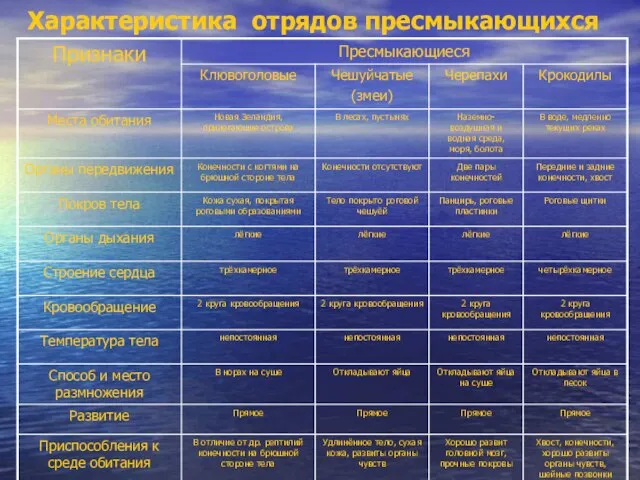 Характеристика отрядов пресмыкающихся