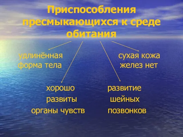 Приспособления пресмыкающихся к среде обитания удлинённая сухая кожа форма тела желез