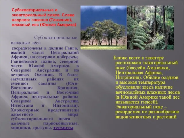 Субэкваториальные и экваториальный пояса. Слева направо: саванна (Танзания), влажный лес (Южная