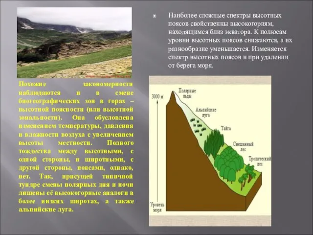 Похожие закономерности наблюдаются и в смене биогеографических зон в горах –