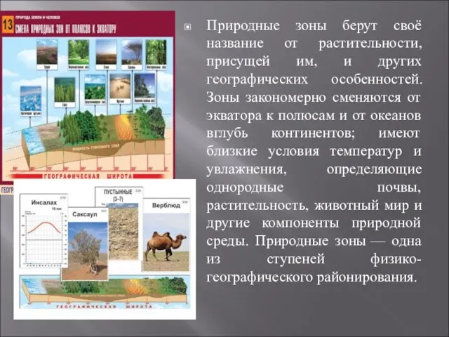 Природные зоны берут своё название от растительности, присущей им, и других