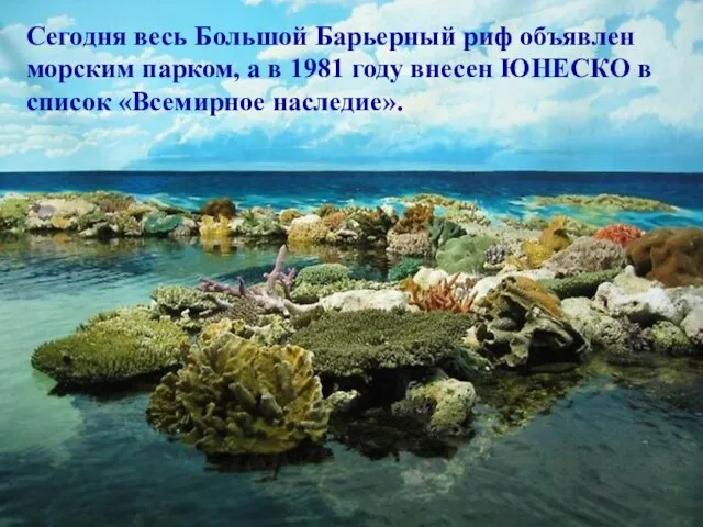 Сегодня весь Большой Барьерный риф объявлен морским парком, а в 1981