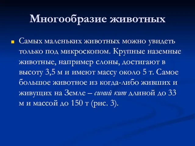 Многообразие животных Самых маленьких животных можно увидеть только под микроскопом. Крупные