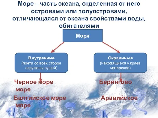 Море – часть океана, отделенная от него островами или полуостровами, отличающаяся