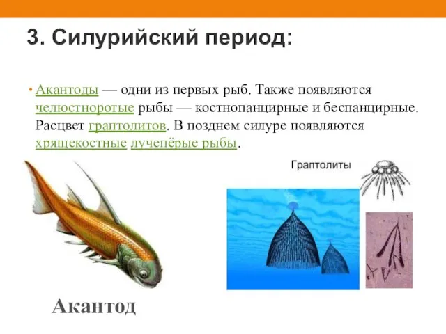 3. Силурийский период: Акантоды — одни из первых рыб. Также появляются