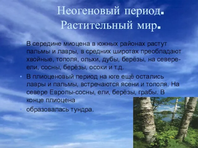 Неогеновый период. Растительный мир. В середине миоцена в южных районах растут