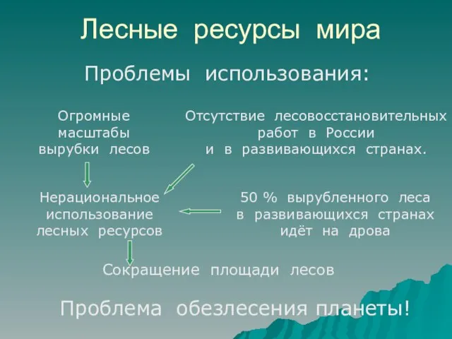 Лесные ресурсы мира Сокращение площади лесов Нерациональное использование лесных ресурсов 50