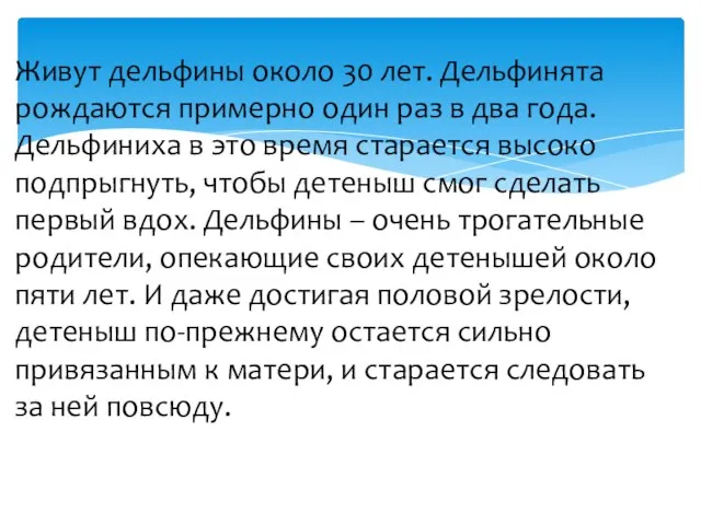 Живут дельфины около 30 лет. Дельфинята рождаются примерно один раз в