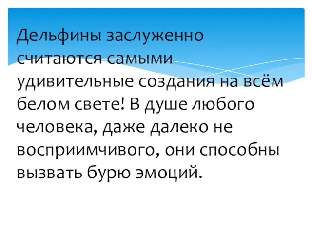 Дельфины заслуженно считаются самыми удивительные создания на всём белом свете! В