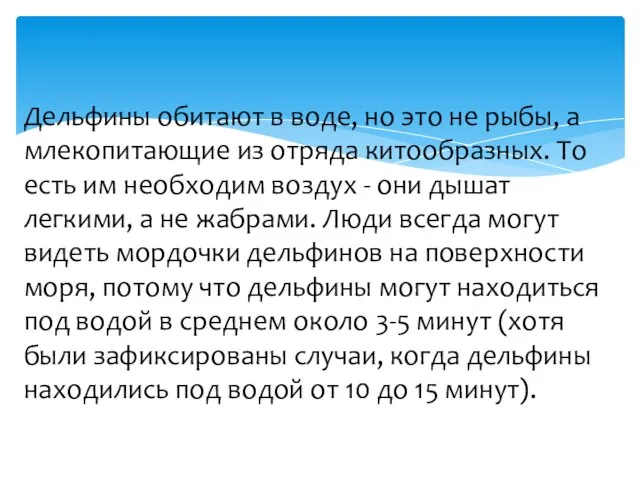 Дельфины обитают в воде, но это не рыбы, а млекопитающие из