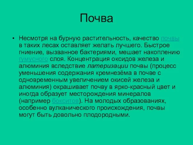 Почва Несмотря на бурную растительность, качество почвы в таких лесах оставляет