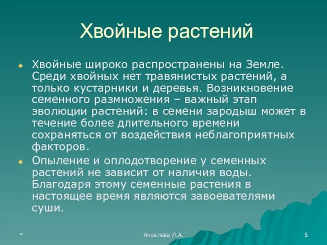 * Яковлева Л.А. Хвойные растений Хвойные широко распространены на Земле. Среди