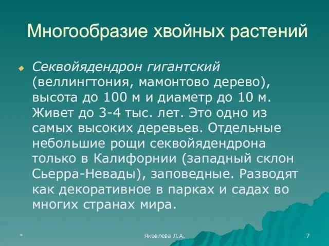 * Яковлева Л.А. Многообразие хвойных растений Секвойядендрон гигантский (веллингтония, мамонтово дерево),