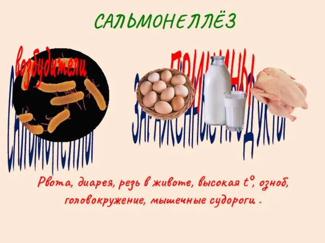 ЗАРАЖЁННЫЕ ПРОДУКТЫ САЛЬМОНЕЛЛЫ САЛЬМОНЕЛЛЁЗ возбудители ПРИЧИНЫ Рвота, диарея, резь в животе,