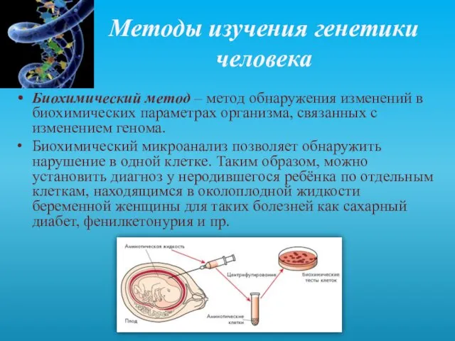 Методы изучения генетики человека Биохимический метод – метод обнаружения изменений в