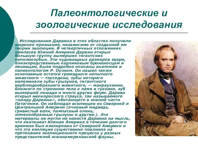 Палеонтологические и зоологические исследования Исследования Дарвина в этих областях получили широкое