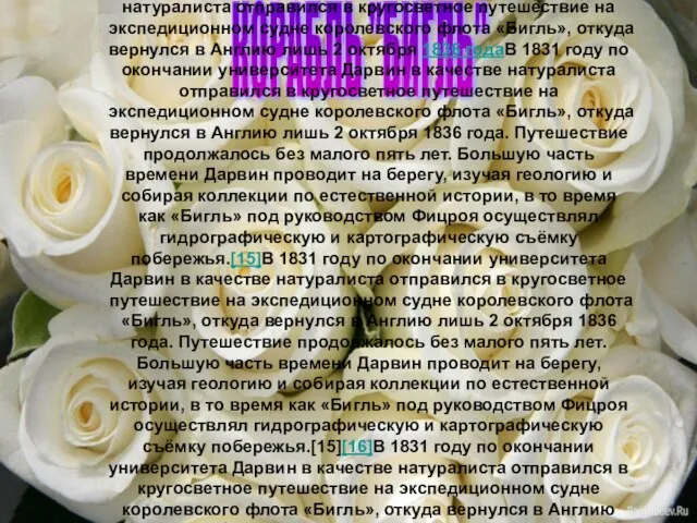 Основная статья: Кругосветное путешествие Чарльза Дарвина В 1831 годуВ 1831 году