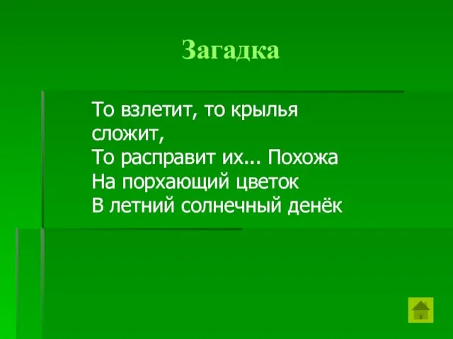 Загадка То взлетит, то крылья сложит, То расправит их... Похожа На