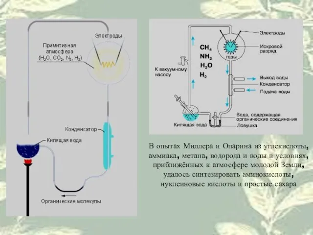 В опытах Миллера и Опарина из углекислоты, аммиака, метана, водорода и