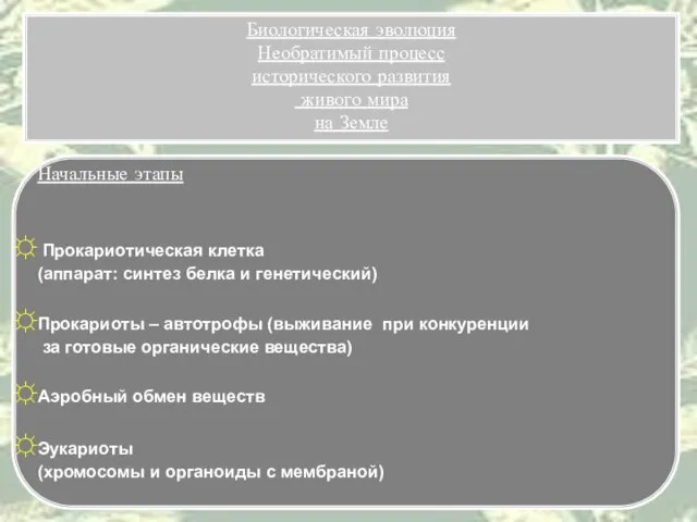 Начальные этапы Прокариотическая клетка (аппарат: синтез белка и генетический) Прокариоты –