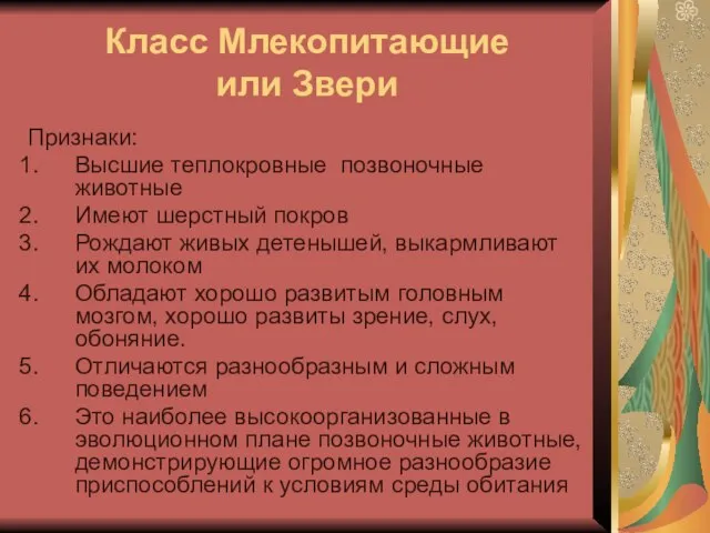 Класс Млекопитающие или Звери Признаки: Высшие теплокровные позвоночные животные Имеют шерстный