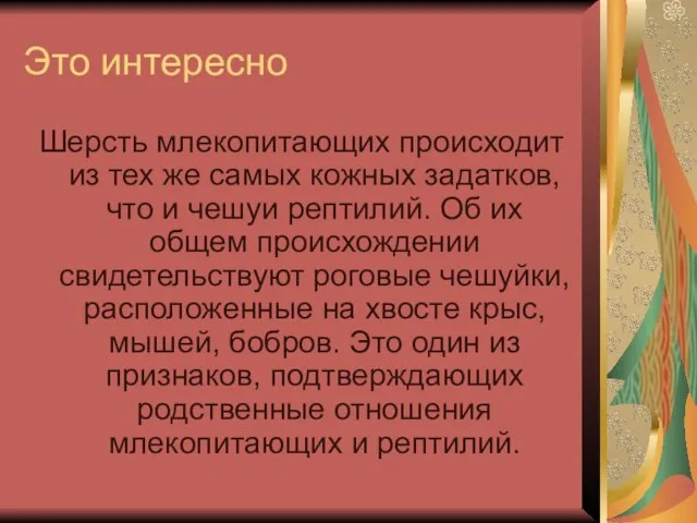 Это интересно Шерсть млекопитающих происходит из тех же самых кожных задатков,