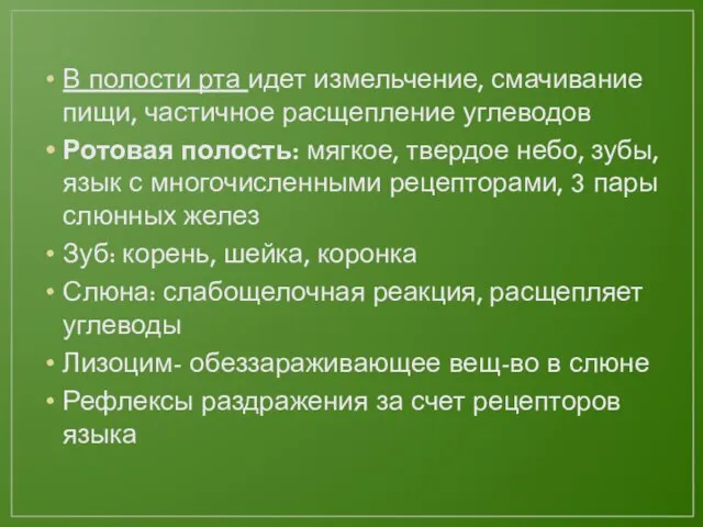 В полости рта идет измельчение, смачивание пищи, частичное расщепление углеводов Ротовая