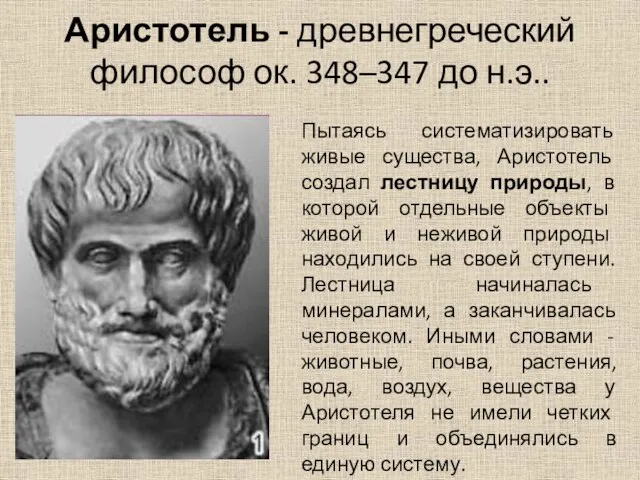 Аристотель - древнегреческий философ ок. 348–347 до н.э.. Пытаясь систематизировать живые