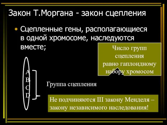 Закон Т.Моргана - закон сцепления Сцепленные гены, располагающиеся в одной хромосоме,