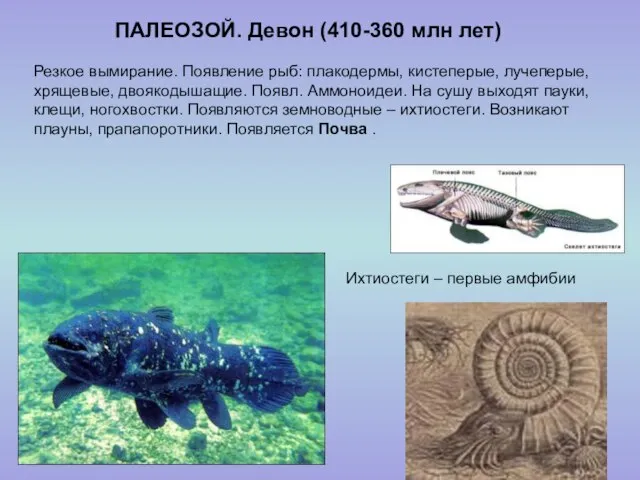 ПАЛЕОЗОЙ. Девон (410-360 млн лет) Ихтиостеги – первые амфибии Резкое вымирание.