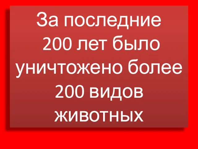 За последние 200 лет было уничтожено более 200 видов животных