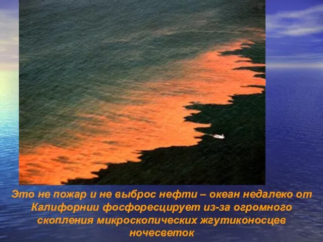 Это не пожар и не выброс нефти – океан недалеко от