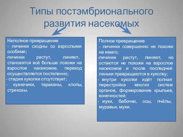 Типы постэмбрионального развития насекомых Неполное превращение - личинки сходны со взрослыми