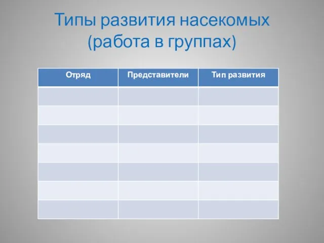 Типы развития насекомых (работа в группах)