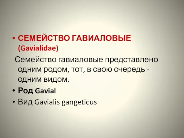 СЕМЕЙСТВО ГАВИАЛОВЫЕ (Gavialidae) Семейство гавиаловые представлено одним родом, тот, в свою