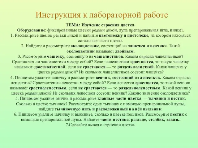 Инструкция к лабораторной работе ТЕМА: Изучение строения цветка. Оборудование: фиксированные цветки