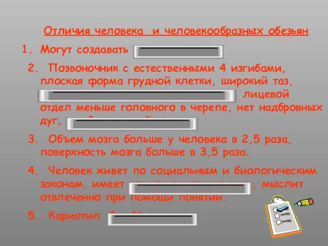 Отличия человека и человекообразных обезьян Могут создавать орудия труда. 2. Позвоночник