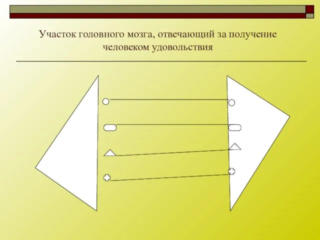 Участок головного мозга, отвечающий за получение человеком удовольствия