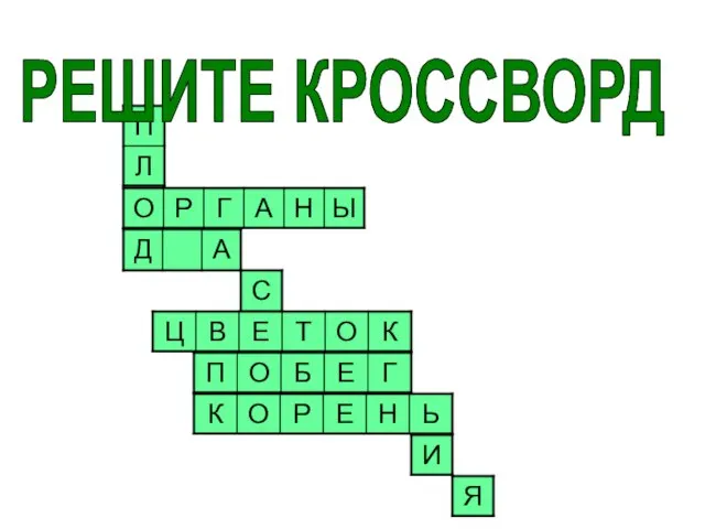 РЕШИТЕ КРОССВОРД