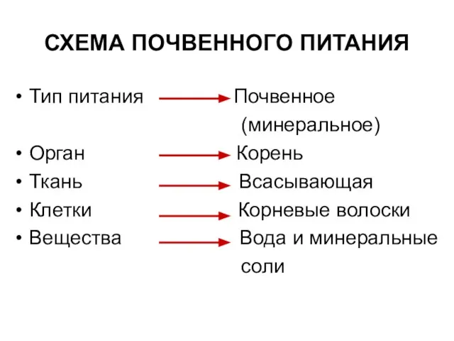 СХЕМА ПОЧВЕННОГО ПИТАНИЯ Тип питания Почвенное (минеральное) Орган Корень Ткань Всасывающая