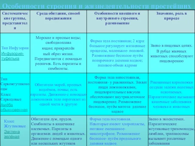 Особенности строения и жизнедеятельности простейших