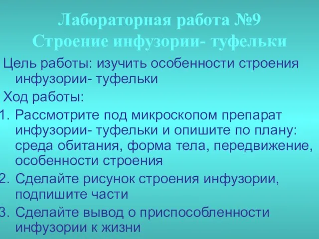 Лабораторная работа №9 Строение инфузории- туфельки Цель работы: изучить особенности строения