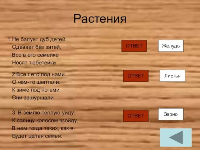 Растения Не балует дуб детей, Одевает без затей. Все в его